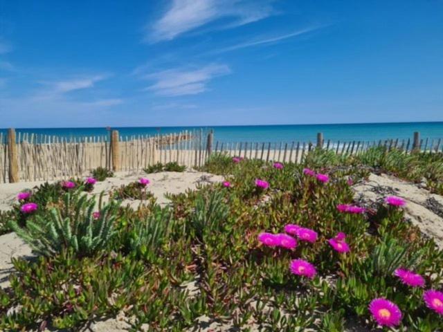 Confortable Studio Cabine - Acces Plage- Vue Mer 4Tvp38 Le Barcarès Dış mekan fotoğraf